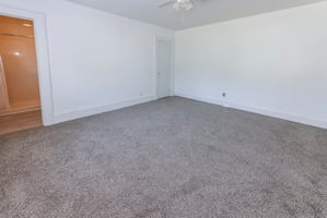 31389808