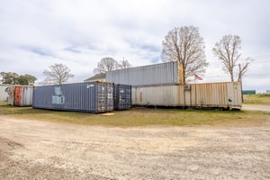 31390646