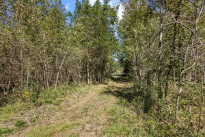 31391581