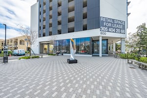 31392055