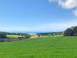 31392994