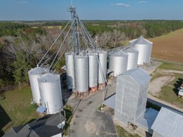 31393546