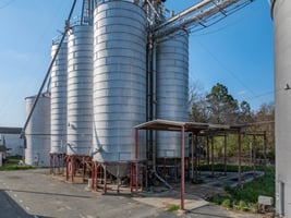 31393582