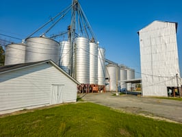 31393572