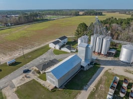 31393547