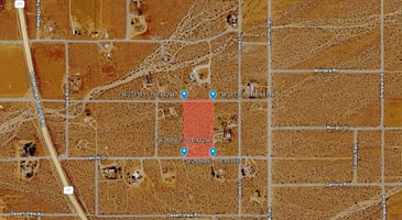 31400420