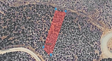 31402366
