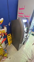 34196333
