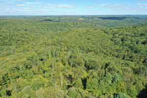31412818