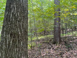 31412817