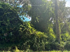 31413581