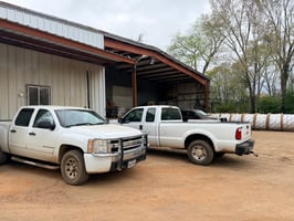 31418075
