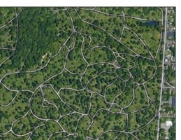 31417486