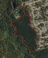 31417631