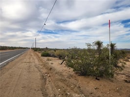 31421292