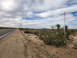 31421297