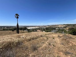 31421324