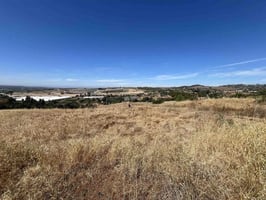 31421328