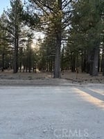 31744018