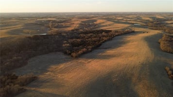 31425764