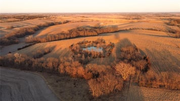 31425771
