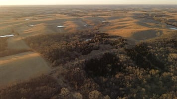 31425765