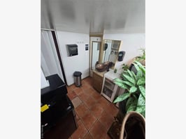 31667384