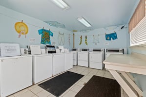 31430359