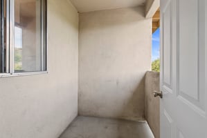 31430323