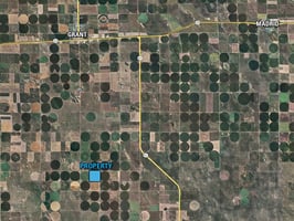 31430769