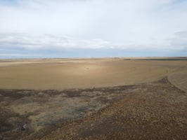 31430774