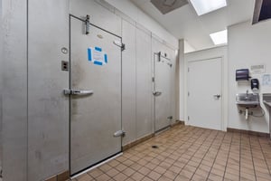 31434533