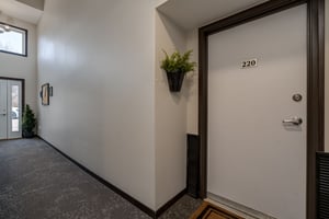 31443557