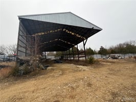 31439338