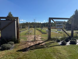 31438229