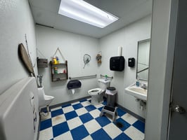 31437942
