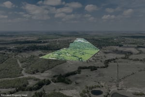 31438072