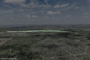 31438101
