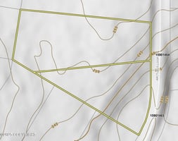 31439747