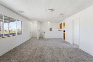31441865