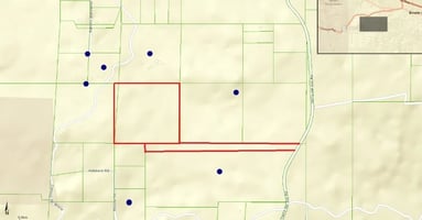 31696767