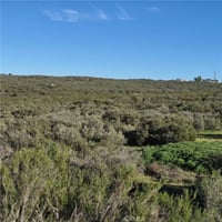 31696759