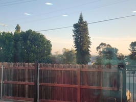 31465752