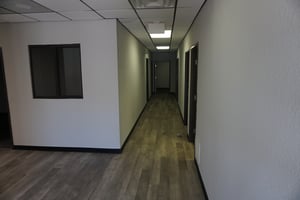 31442977