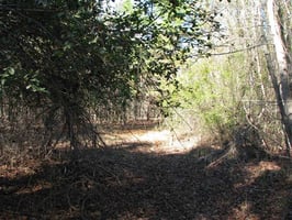 31454641