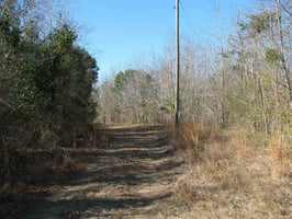33166062