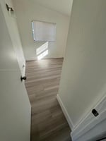 31445152