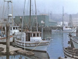 31446112