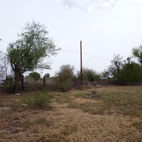 31447062