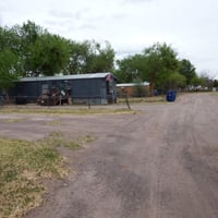 31447068